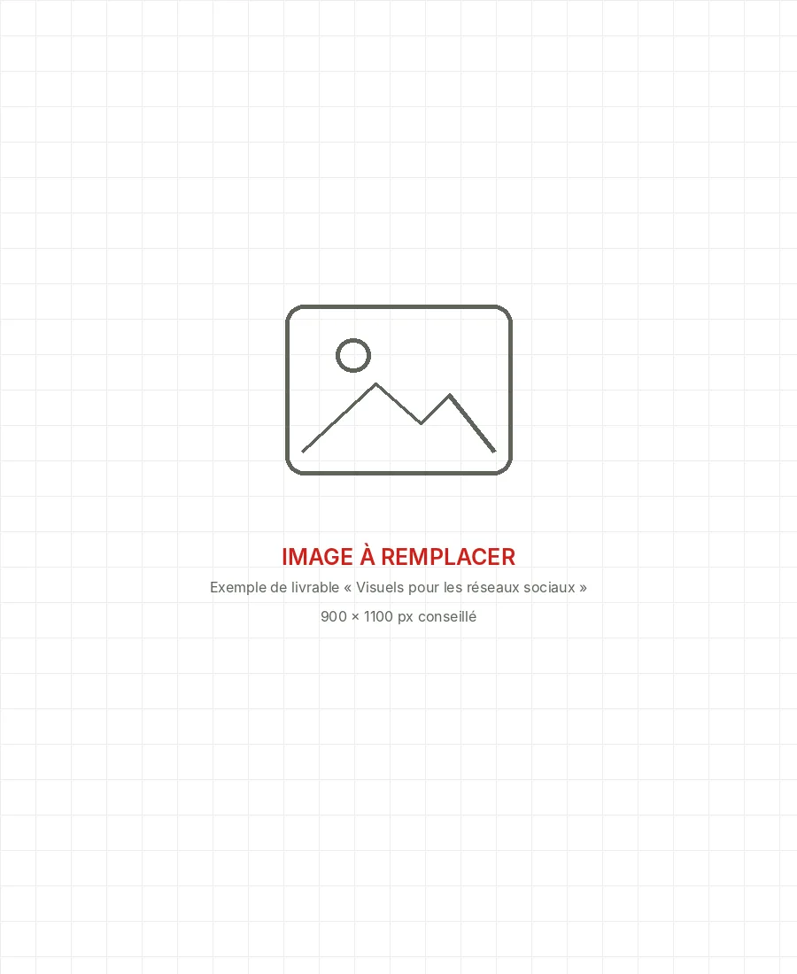 Image à remplacer : exemple de livrable « Visuels pour les réseaux sociaux »