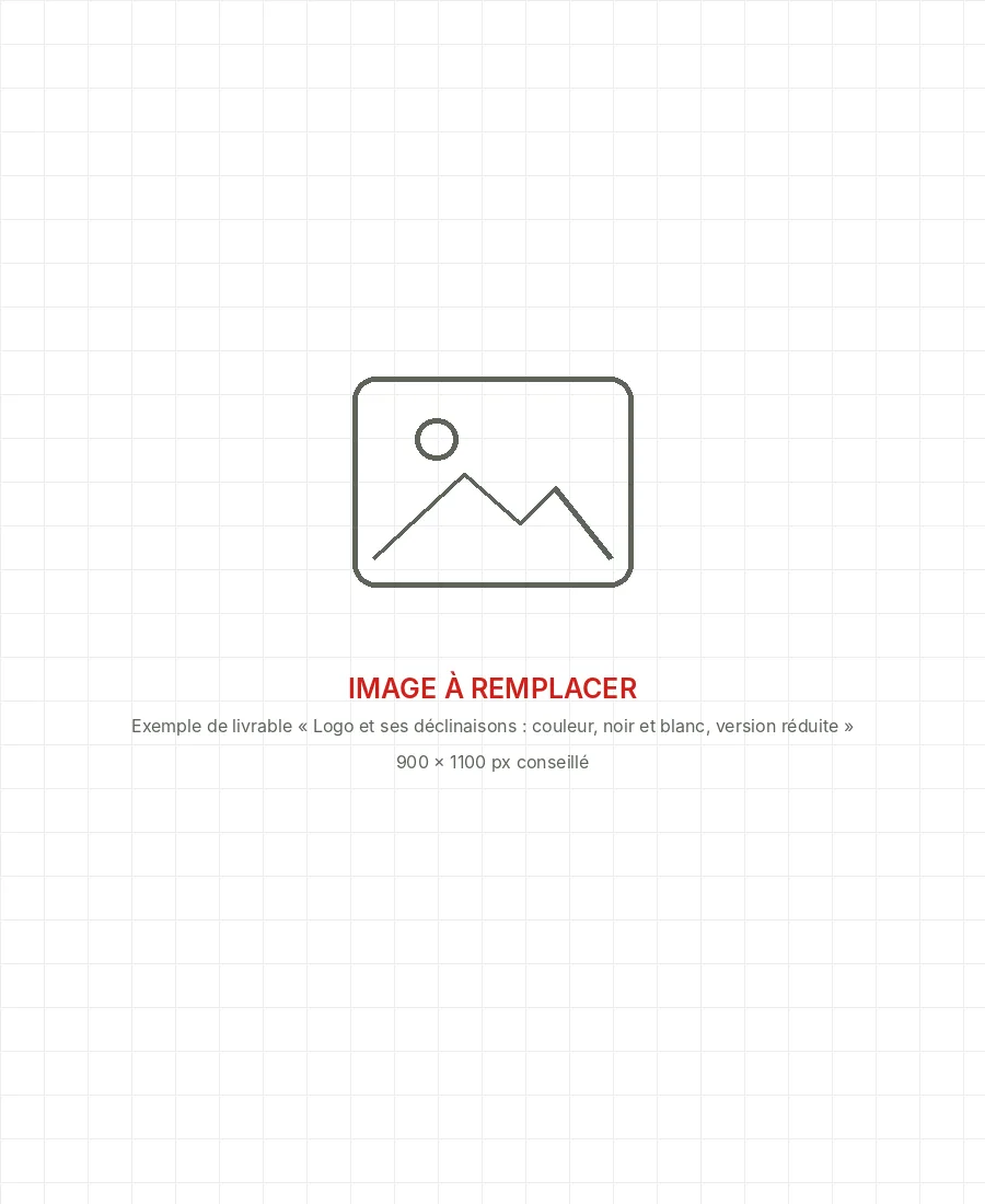 Image à remplacer : exemple de livrable « Logo et ses déclinaisons : couleur, noir et blanc, version réduite »