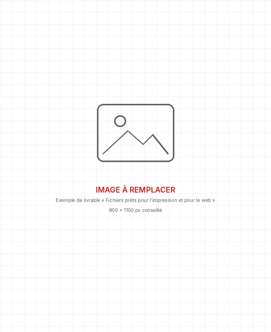 Image à remplacer : exemple de livrable « Fichiers prêts pour l’impression et pour le web »