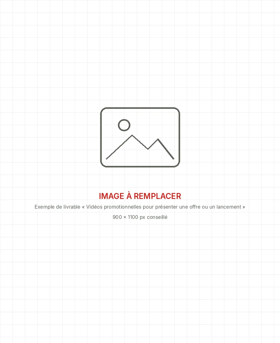 Image à remplacer : exemple de livrable « Vidéos promotionnelles pour présenter une offre ou un lancement »