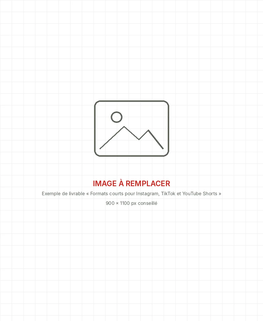 Image à remplacer : exemple de livrable « Formats courts pour Instagram, TikTok et YouTube Shorts »